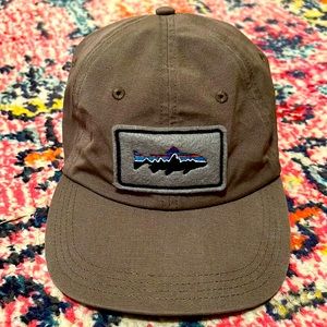 Patagonia Fitz Roy Patch Hat